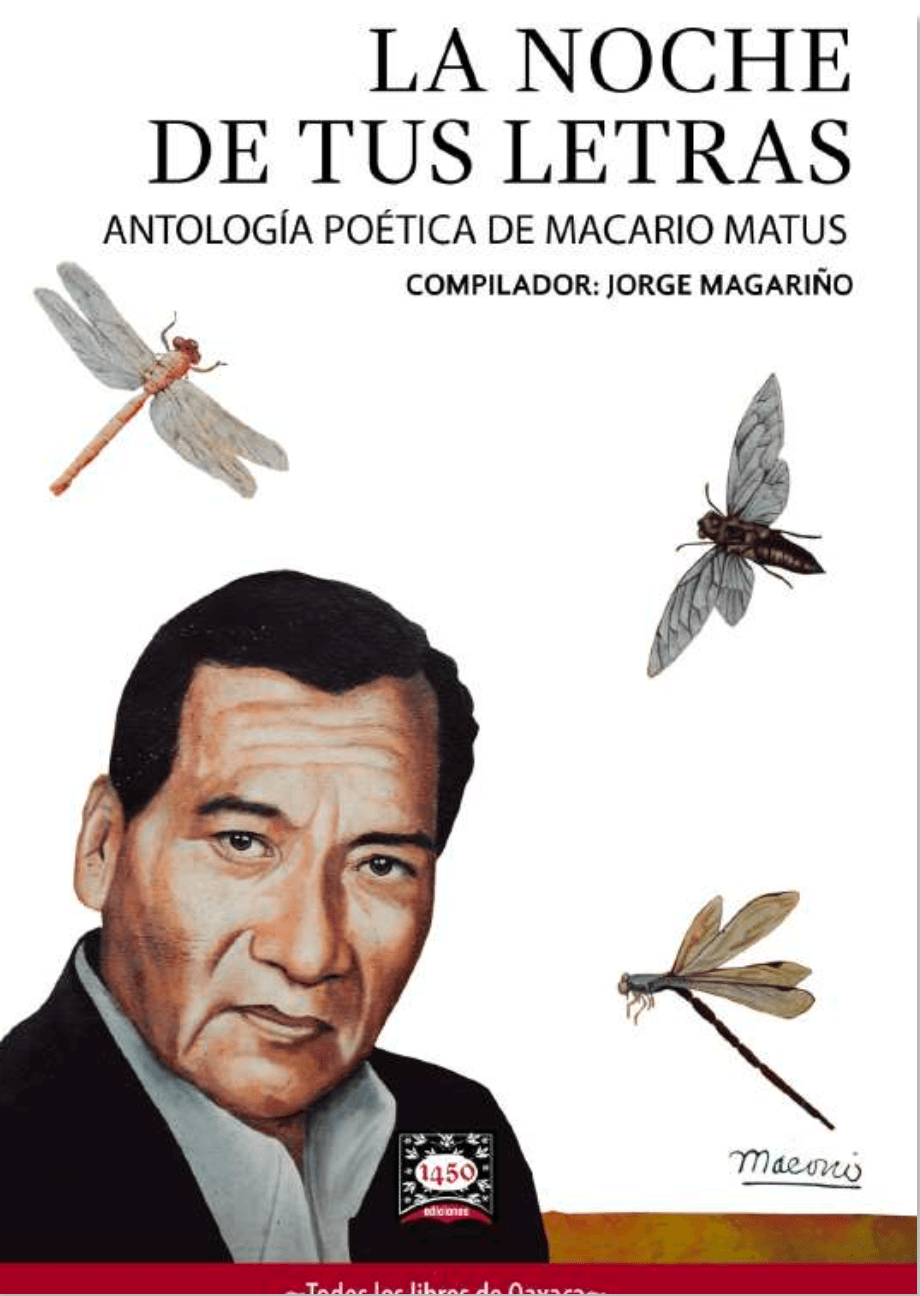 La noche de tus letras